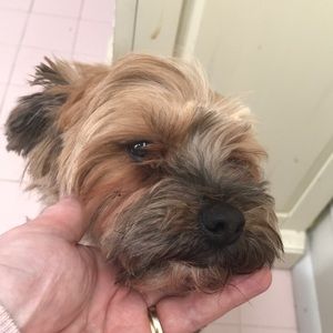 Meet your Posher, Cathy